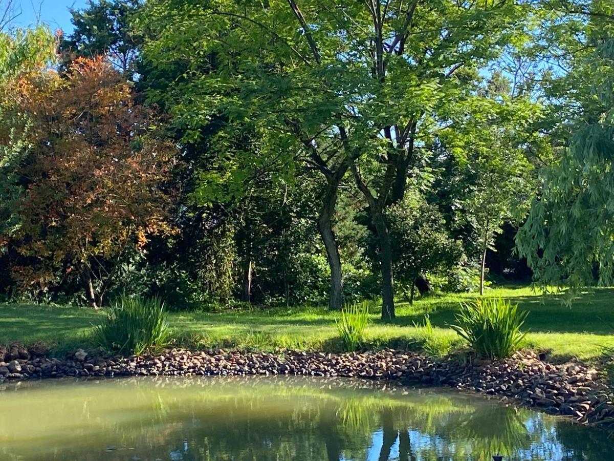 Eden Studios Riebeek-Kasteel Dış mekan fotoğraf