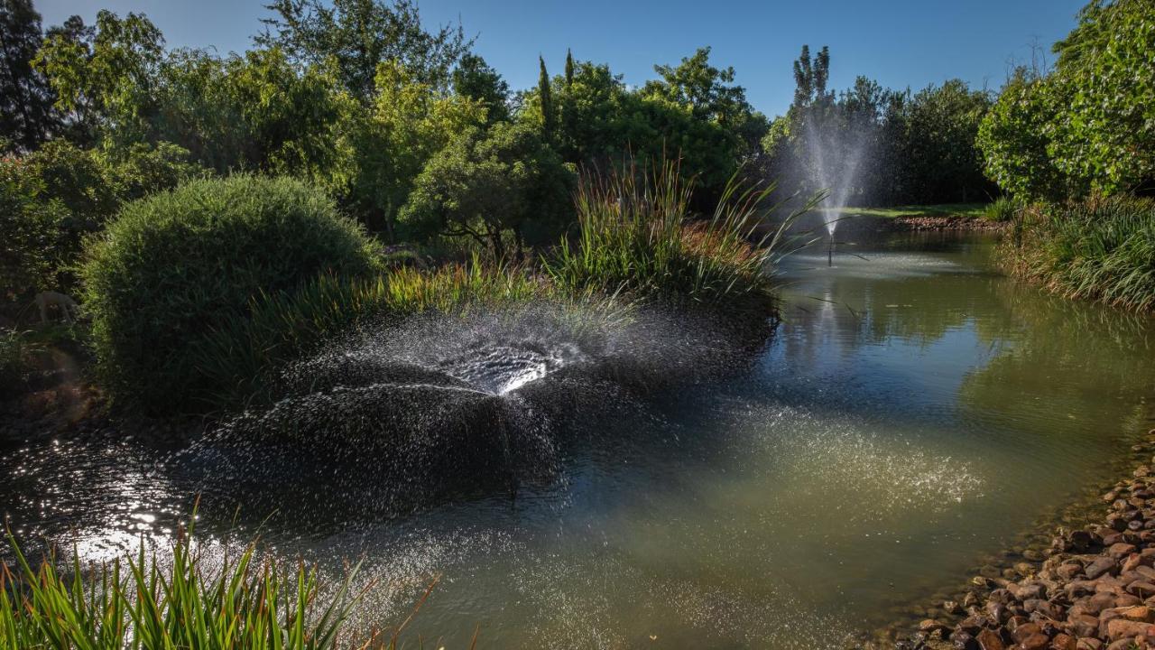 Eden Studios Riebeek-Kasteel Dış mekan fotoğraf